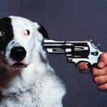 If You Don't, We'll Kill This Dog