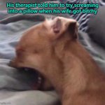 Anger Management | His therapist told him to try screaming into a pillow when his wife got bitchy | image tagged in mad dog,funny dog,angry dog | made w/ Imgflip meme maker