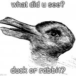 ????? | what did u see? duck or rabbit? | image tagged in duck and rabblt | made w/ Imgflip meme maker