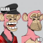 ape ha ha no | HAHA; NO | image tagged in ape ha ha no | made w/ Imgflip meme maker