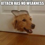 sheer heart attack no weakness | SHEER HEART ATTACK HAS NO WEAKNESS | image tagged in dog door,memes,funny,jojo meme | made w/ Imgflip meme maker