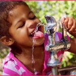 WATER WATER TO HUMAN HUMAN