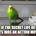 run bord run! | IF THE SECRET LIFE OF PETS WAS AN ACTION MOVIE | image tagged in gifs,birdie | made w/ Imgflip video-to-gif maker