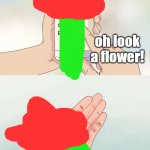 oh look a flower
