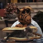 Alf Cat Sandwich