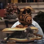 Alf Cat Sandwich meme