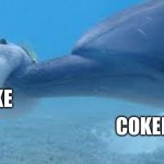 Drugs Are Bad | COKE; COKEHEAD | image tagged in dolphin boops pufferfish | made w/ Imgflip meme maker