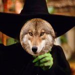 Coyote Wicked Witch