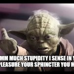 Yoda | MMMM MUCH STUPIDITY I SENSE IN YOU 
GO PLEASURE YOUR SPHINCTER YOU MUST | image tagged in yoda | made w/ Imgflip meme maker