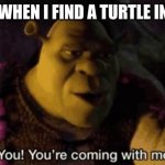 My brother just found one a few days ago | 8 Y/O ME WHEN I FIND A TURTLE IN MY POOL | image tagged in shrek your coming with me,memes,funny,funny memes | made w/ Imgflip meme maker