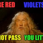 gandalf you shall not pass | VIOLETS ARE BLUE; ROSES ARE RED; YOU SHALL NOT PASS; YOU LITTLE SHREW | image tagged in gandalf you shall not pass,roses are red violets are are blue | made w/ Imgflip meme maker