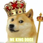 King doge | ME KING DOGE | image tagged in king doge | made w/ Imgflip meme maker