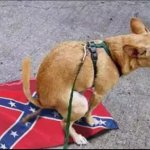 Dog pooping on Confederate Flag