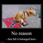 Dog pooping on Confederate flag