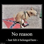 Dog pooping on Confederate flag meme