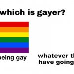 Which is gayer? meme