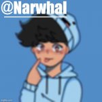 narwhal skeppy announcement temp