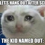 crying cat | KID: LET'S HANG OUT AFTER SCHOOL THE KID NAMED OUT: | image tagged in crying cat | made w/ Imgflip meme maker