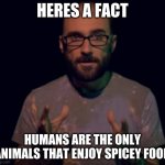 Vsauce | HERES A FACT; HUMANS ARE THE ONLY ANIMALS THAT ENJOY SPICEY FOOD | image tagged in vsauce | made w/ Imgflip meme maker