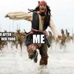 Jack Sparrow Being Chased | MY GECKO AFTER I BRING OUT HER FOOD; ME | image tagged in jack sparrow being chased,gecko,leopard,pets,reptile | made w/ Imgflip meme maker