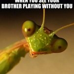 it triggers me | WHEN YOU SEE YOUR BROTHER PLAYING WITHOUT YOU | image tagged in over attached mantis | made w/ Imgflip meme maker