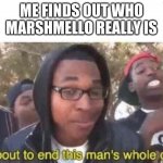 marshmello reveal | ME FINDS OUT WHO MARSHMELLO REALLY IS; MARSHMELLO | image tagged in i'm about to end this man's whole career | made w/ Imgflip meme maker