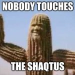 nobody touches the shaqtus | NOBODY TOUCHES; THE SHAQTUS | image tagged in shaqtus | made w/ Imgflip meme maker