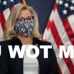 Liz Cheney U Wot M8