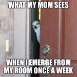:/ | WHAT MY MOM SEES WHEN I EMERGE FROM MY ROOM ONCE A WEEK | image tagged in suspicious chihuahua,hermit,antisocial | made w/ Imgflip meme maker