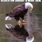 Self Reflection Quote | HOW FEW THERE ARE WHO HAVE COURAGE ENOUGH TO OWN THEIR FAULTS, OR RESOLUTION ENOUGH TO MEND THEM. BENJAMIN FRANKLIN | image tagged in eagle's reflection | made w/ Imgflip meme maker