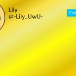 Lily temp 4 meme