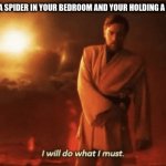i know what i have to do, idk if i have the strength to do it | WHEN YOU SEE A SPIDER IN YOUR BEDROOM AND YOUR HOLDING A BOOK YOU HATE | image tagged in i will do what i must,star wars prequels,star wars meme,spider,life sucks | made w/ Imgflip meme maker