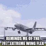 Wingflex^5,000 | REMINDS ME OF THE 787...EXTREME WING FLEX | image tagged in gifs,airplane | made w/ Imgflip video-to-gif maker