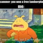 I may be dumb, but I'm not stupid | me:; Scammer: you won a free lamborghini | image tagged in i may be dumb but i'm not stupid | made w/ Imgflip meme maker
