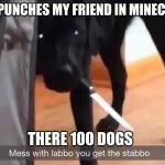 mess with labbo you get stabbo | ME PUNCHES MY FRIEND IN MINECRAT; THERE 100 DOGS | image tagged in mess with labbo you get stabbo | made w/ Imgflip meme maker