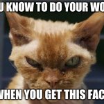 Mad Cat | YOU KNOW TO DO YOUR WORK; WHEN YOU GET THIS FACE | image tagged in mad cat | made w/ Imgflip meme maker