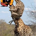 pump and skid as a giraffe | OK | image tagged in funny giraffe | made w/ Imgflip meme maker