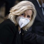 Liz Cheney face mask