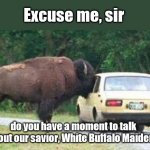 North American bison proselyte | Excuse me, sir; do you have a moment to talk about our savior, White Buffalo Maiden? | image tagged in buffalo sticks face in car window,bison,cute animals,native americans,positive thinking,white buffalo maiden | made w/ Imgflip meme maker