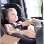 Kid throws out a shoe out of a car GIF Template