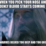 Indeed....can anyone relate? | WHEN YOU PICK YOUR NOSE AND SUDDENLY BLOOD STARTS COMING OUT:; THE DWARVES DELVED TOO DEEP AND TOO GREEDILY | image tagged in the dwarves delved too deep | made w/ Imgflip meme maker