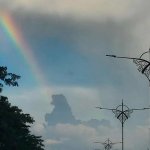 Dino rainbow