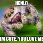 Spidey | HENLO; AM CUTE. YOU LOVE ME. | image tagged in spido | made w/ Imgflip meme maker