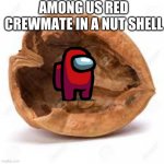 In a nut shell | AMONG US RED CREWMATE IN A NUT SHELL | image tagged in in a nut shell | made w/ Imgflip meme maker