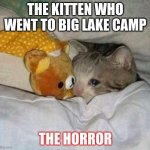 crying kitten | THE KITTEN WHO WENT TO BIG LAKE CAMP; THE HORROR | image tagged in crying kitten | made w/ Imgflip meme maker