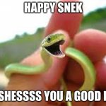 Happy snek | HAPPY SNEK; WISHESSSS YOU A GOOD DAY | image tagged in happy snek | made w/ Imgflip meme maker