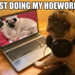 Just doing my homewo.. | JUST DOING MY HOEWORK... | image tagged in horny pug,pug,cardi b,madonna,jay z,donald trump | made w/ Imgflip meme maker