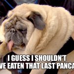 Okay, so i will start diet tomorrow...again! | I GUESS I SHOULDN’T HAVE EATEN THAT LAST PANCAKE | image tagged in fat pug | made w/ Imgflip meme maker