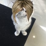 Karen the cat meme