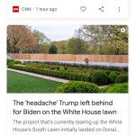 Threatening Congress Trump Headache Lawn News Duo